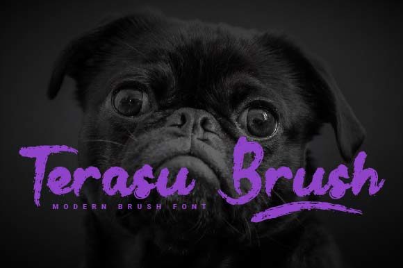 Terasu Brush: The Handwritten Font That Brings Warmth and Personality to Real Projects