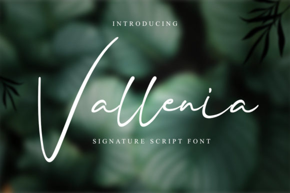 Vallenia: Where Handwritten Elegance Meets Strategic Design Thinking